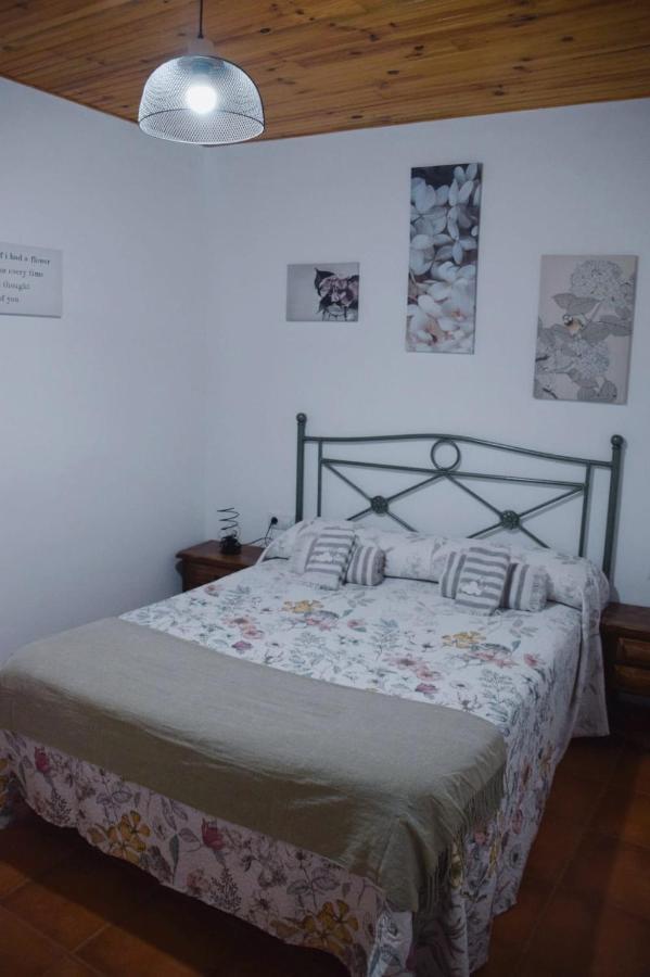 Apartamentos Loli بيرغا المظهر الخارجي الصورة